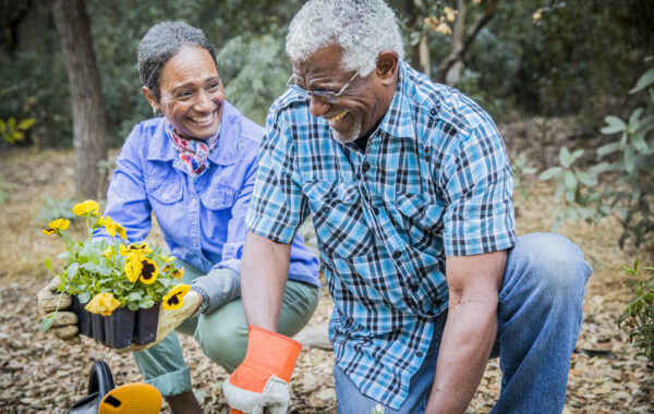 Senior African American Couple Planting in Garden